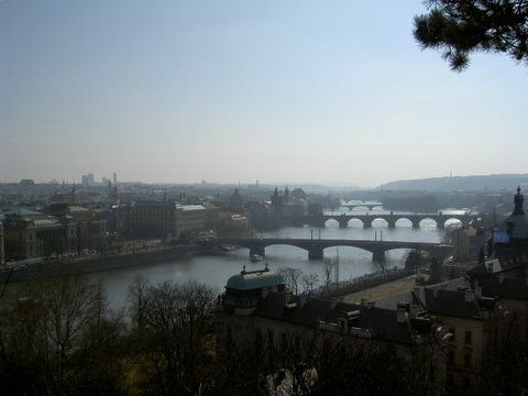 přijato:2006/5/22
